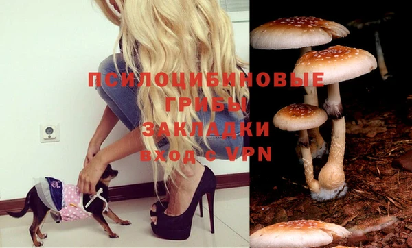 МДМА Михайлов