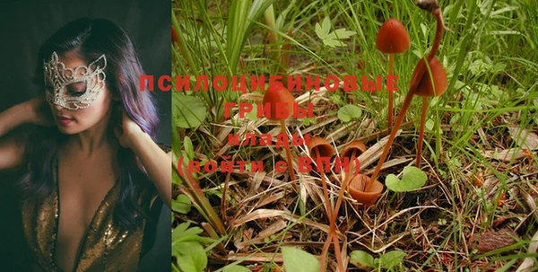 МДМА Михайлов